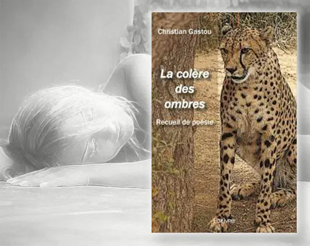 Livre de poésie La colère des ombres de C. Gastou