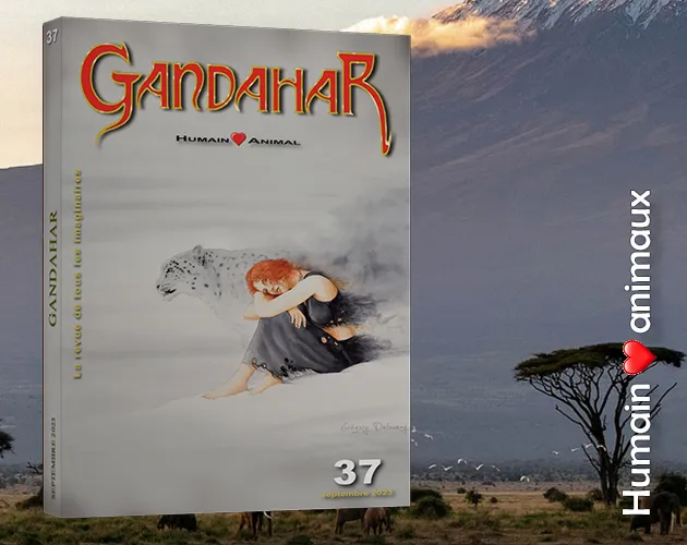Gandahar 37